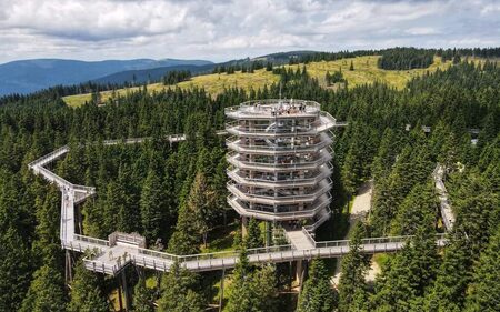 Pot med krosnjami Rogla